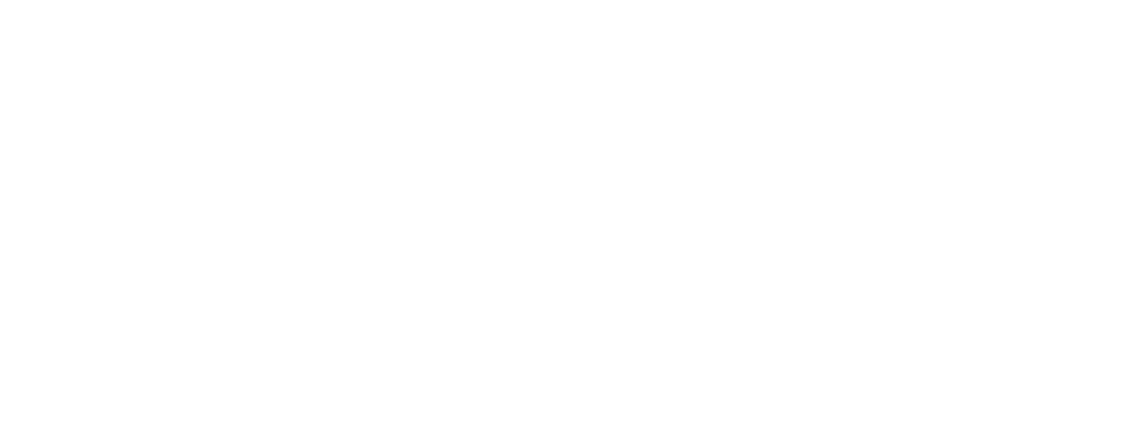 Grupo Rever